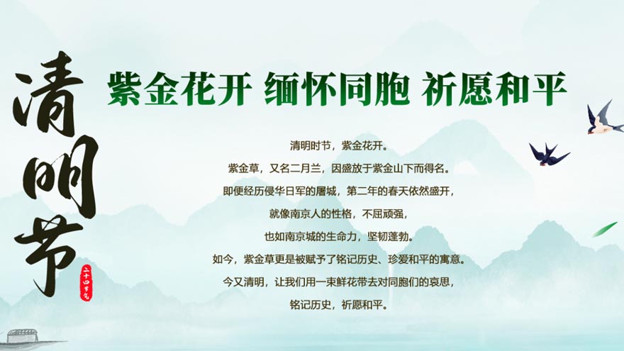 紫金花開(kāi) 緬懷同胞 祈愿和平